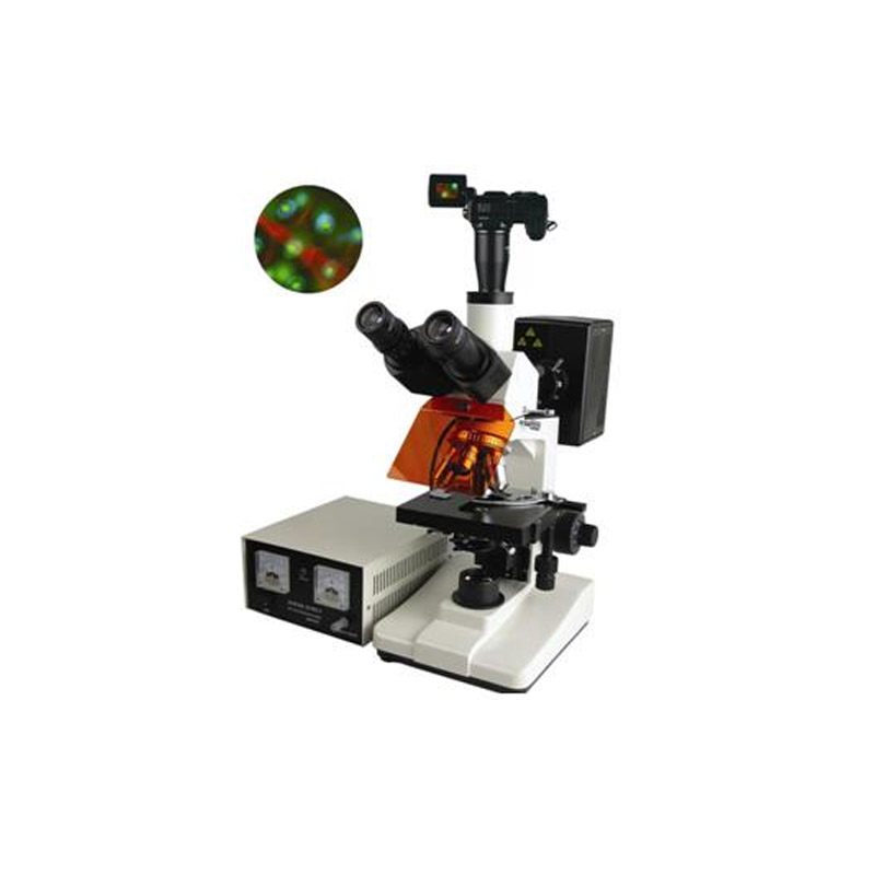 數碼型熒光顯微鏡BFM-400系列